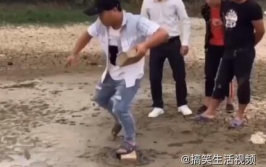 农村搞笑视频大全笑死人,笑料横生，欢乐满溢