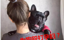超好看的网红壁纸,捕捉视觉盛宴的瞬间